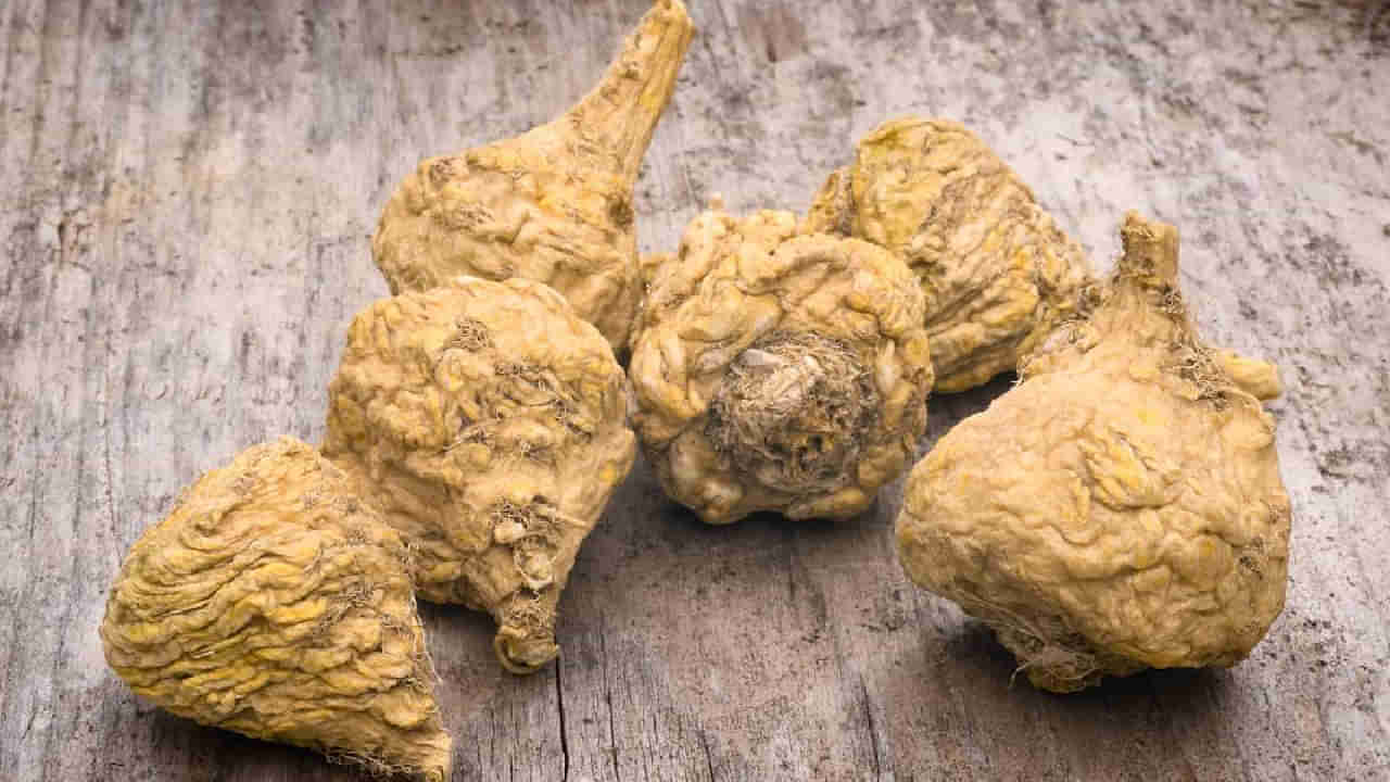 Maca Root: ಲೈಂಗಿಕ ಶಕ್ತಿಯನ್ನು ಹೆಚ್ಚಿಸುವುದರಿಂದ ಹಿಡಿದು ಒಟ್ಟಾರೆ ಆರೋಗ್ಯಕ್ಕಾಗಿ ಮಾಕಾ ಬೇರು