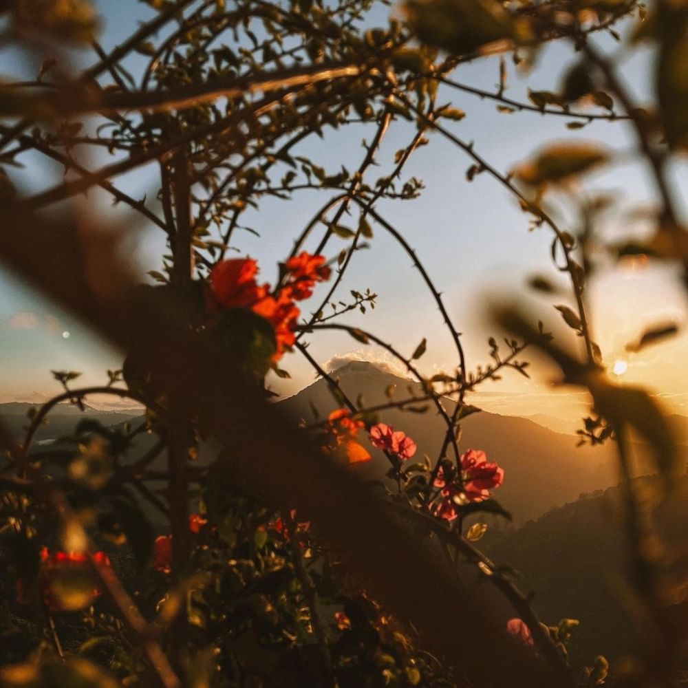 ಕ್ಲೇ ಮಾಡೆಲ್​ಗಳನ್ನು ಮಾಡಿ ಖುಷಿ ಪಟ್ಟಿದ್ದಾರೆ