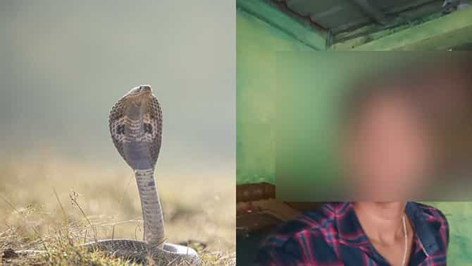 ಕಲಬುರಗಿಯಲ್ಲಿ ವಿಚಿತ್ರ ಘಟನೆ, ಬಾಲಕನಿಗೆ 2 ತಿಂಗಳಲ್ಲಿ 9 ಬಾರಿ ಕಡಿದ ಹಾವು