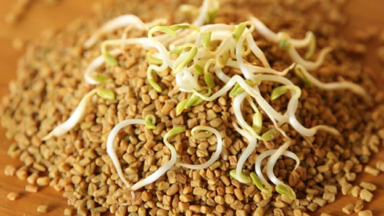 Sprouted Methi Seeds: ಮೊಳಕೆಯೊಡೆದ ಮೆಂತ್ಯ ಬೀಜಗಳನ್ನು ಬಳಸಿದರೆ ಅದೆಷ್ಟೋ ಕಾಯಿಲೆಗಳು ಗುಣವಾಗುತ್ತವೆ! Sprouted Methi Seeds: ಮೊಳಕೆಯೊಡೆದ ಮೆಂತ್ಯ ಬೀಜಗಳನ್ನು ಬಳಸಿದರೆ ಅದೆಷ್ಟೋ ಕಾಯಿಲೆಗಳು ಗುಣವಾಗುತ್ತವೆ!