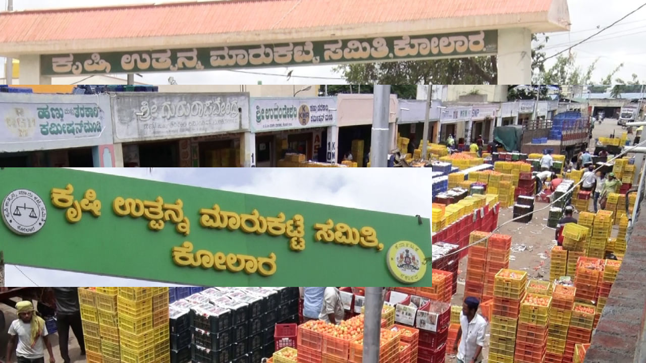 ಟೊಮ್ಯಾಟೋ ಮುಟ್ಟಿದವರಿಗೆಲ್ಲಾ ಚಿನ್ನ ಮೆತ್ತಿಕೊಳ್ಳುತ್ತಿದೆ, ಕೋಲಾರ ಎಪಿಎಂಸಿಗೂ ಜಾಕ್ಪಾಟ್! ಟೊಮ್ಯಾಟೋ ಮುಟ್ಟಿದವರಿಗೆಲ್ಲಾ ಚಿನ್ನ ಮೆತ್ತಿಕೊಳ್ಳುತ್ತಿದೆ, ಕೋಲಾರ ಎಪಿಎಂಸಿಗೂ ಜಾಕ್ಪಾಟ್!