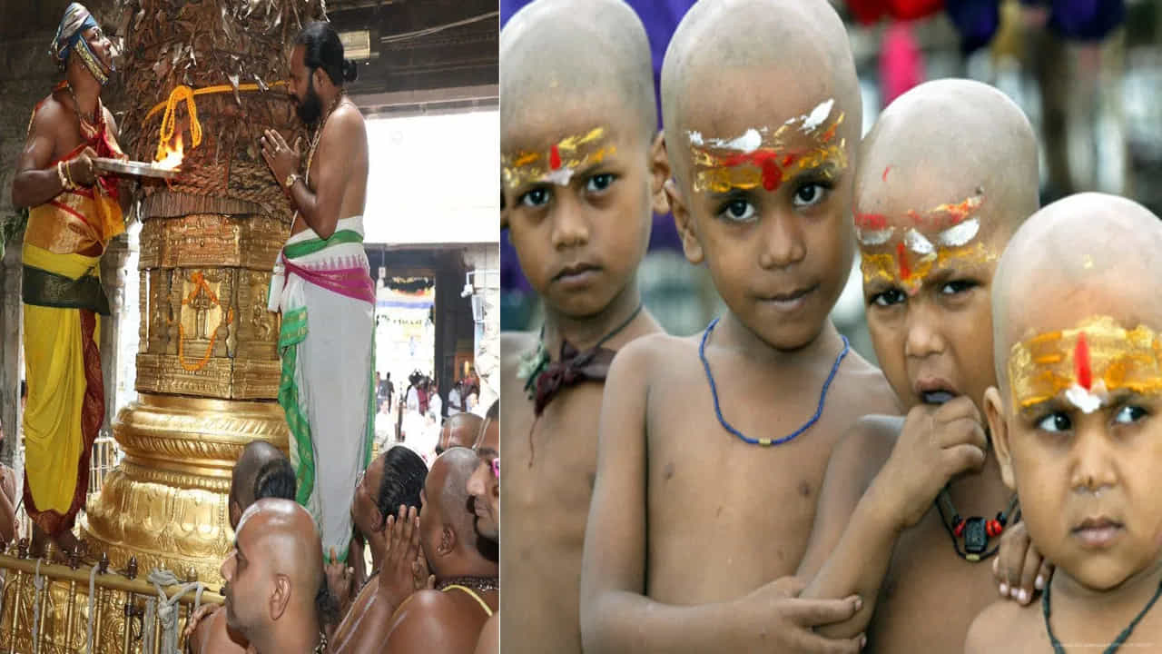 Hair Donation: ಕೊರೊನಾ ನಂತರ ತಿರುಪತಿ ತಿಮ್ಮಪ್ಪನಿಗೆ ಭಕ್ತರಿಂದ ಹೆಚ್ಚು ಕೇಶ ಕಾಣಿಕೆ: TTD ಆದಾಯದ ಮೊತ್ತ ಎಷ್ಟು ಗೊತ್ತಾ? Hair Donation: ಕೊರೊನಾ ನಂತರ ತಿರುಪತಿ ತಿಮ್ಮಪ್ಪನಿಗೆ ಭಕ್ತರಿಂದ ಹೆಚ್ಚು ಕೇಶ ಕಾಣಿಕೆ: TTD ಆದಾಯದ ಮೊತ್ತ ಎಷ್ಟು ಗೊತ್ತಾ?
