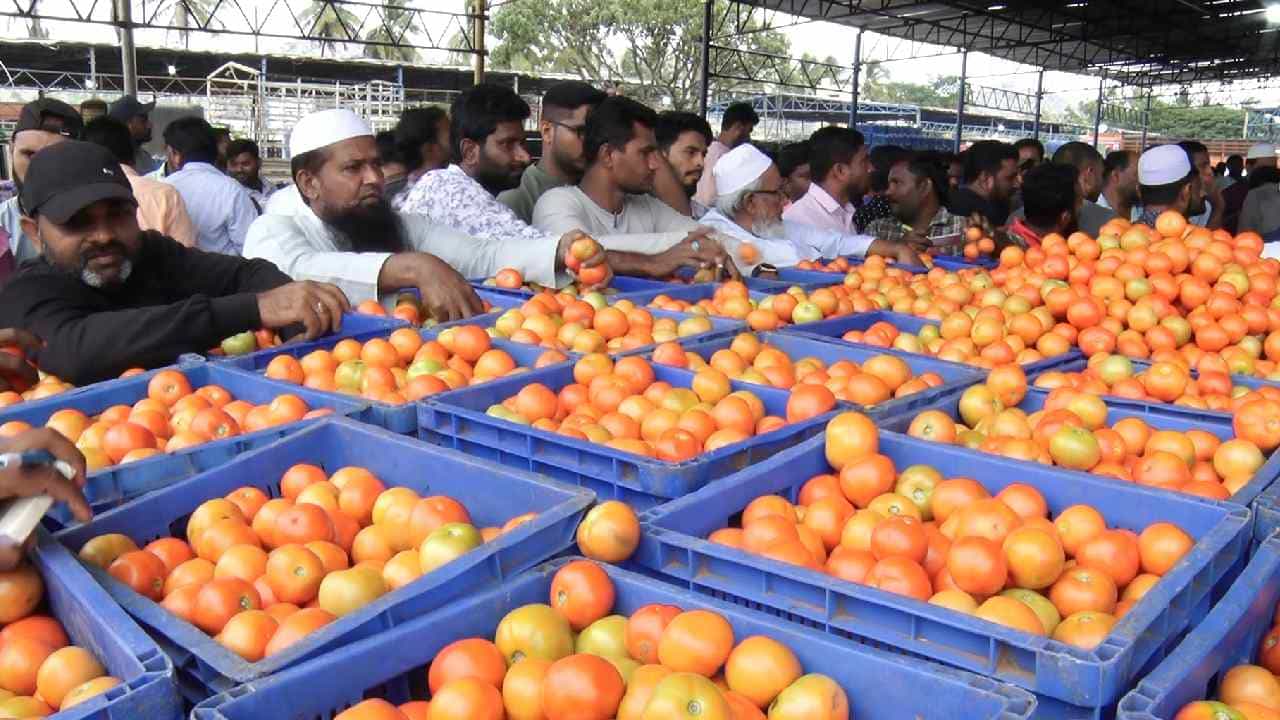 ಕೋಲಾರ ಎಪಿಎಂಸಿ ಮಾರುಕಟ್ಟೆಯಲ್ಲಿ ಟೊಮೆಟೊ ಬೆಲೆ ಕುಸಿತ; ಎಷ್ಟು ಗೊತ್ತಾ? ಕೋಲಾರ ಎಪಿಎಂಸಿ ಮಾರುಕಟ್ಟೆಯಲ್ಲಿ ಟೊಮೆಟೊ ಬೆಲೆ ಕುಸಿತ; ಎಷ್ಟು ಗೊತ್ತಾ?