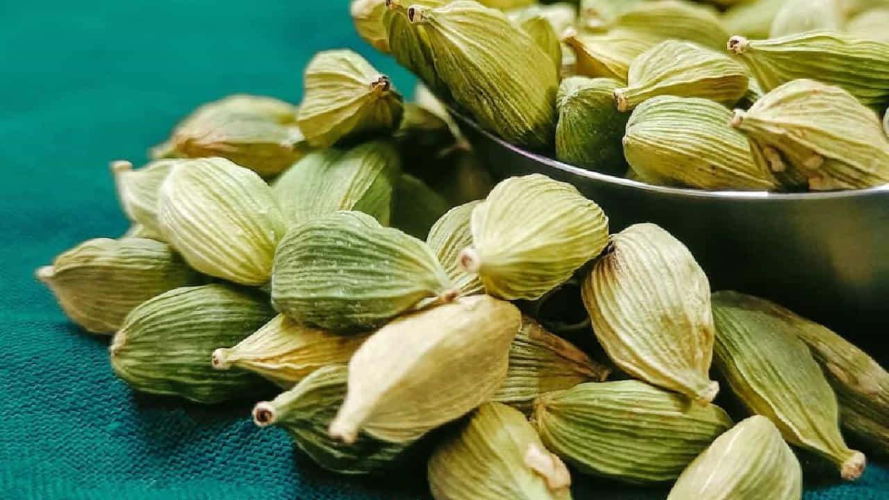 Cardamom Benefits: ದೇಹದ ತೂಕ ನಷ್ಟದಲ್ಲಿ ಏಲಕ್ಕಿ ಎಷ್ಟು ಪ್ರಯೋಜನಕಾರಿಯಾಗಿದೆ ಗೊತ್ತಾ? Cardamom Benefits: ದೇಹದ ತೂಕ ನಷ್ಟದಲ್ಲಿ ಏಲಕ್ಕಿ ಎಷ್ಟು ಪ್ರಯೋಜನಕಾರಿಯಾಗಿದೆ ಗೊತ್ತಾ?