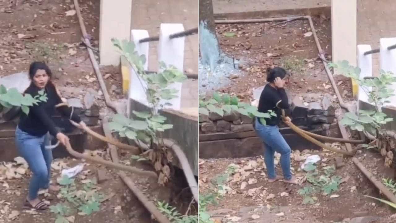 Viral Video: ಬರೀಗೈಯಲ್ಲಿ ಎರಡು ಹಾವುಗಳನ್ನು ಹಿಡಿದ ಮಹಿಳೆಯ ವಿಡಿಯೋ ವೈರಲ್ Viral Video: ಬರೀಗೈಯಲ್ಲಿ ಎರಡು ಹಾವುಗಳನ್ನು ಹಿಡಿದ ಮಹಿಳೆಯ ವಿಡಿಯೋ ವೈರಲ್
