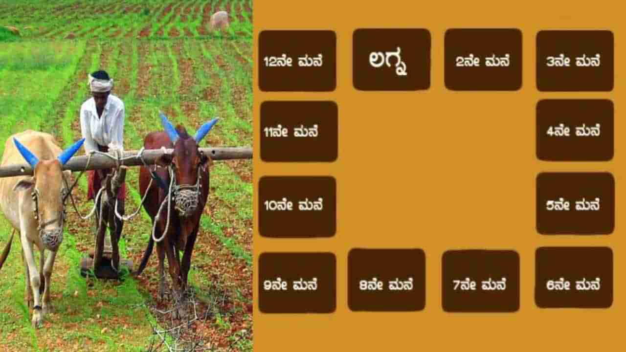 ಶೃಂಗಾಟಕ, ವಜ್ರ ಮತ್ತು ಹಲಯೋಗಗಳು ನಿಮ್ಮ ಜಾತಕದಲ್ಲಿ ಇದ್ದರೇ?