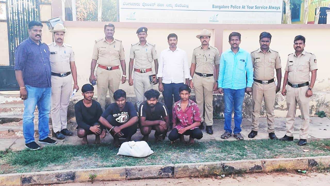 ಆನೇಕಲ್: ಗಾಂಜಾ ಮಾರಾಟ ಮಾಡ್ತಿದ್ದ ನಾಲ್ವರ ಬಂಧನ; ಲಕ್ಷಾಂತರ ರೂ ಮೌಲ್ಯದ ಮಾದಕ ವಸ್ತು ವಶಕ್ಕೆ ಆನೇಕಲ್: ಗಾಂಜಾ ಮಾರಾಟ ಮಾಡ್ತಿದ್ದ ನಾಲ್ವರ ಬಂಧನ; ಲಕ್ಷಾಂತರ ರೂ ಮೌಲ್ಯದ ಮಾದಕ ವಸ್ತು ವಶಕ್ಕೆ