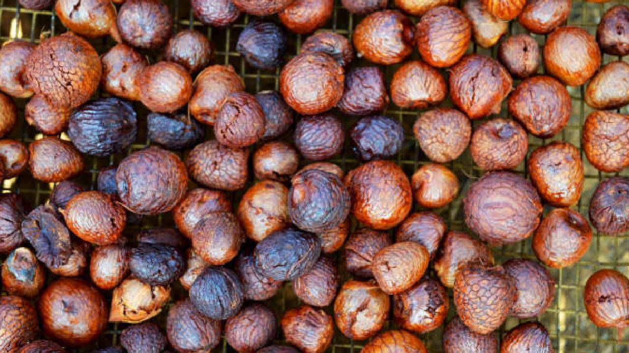 Arecanut Price 11 Sep: ಪ್ರಮುಖ ಮಾರುಕಟ್ಟೆಯಲ್ಲಿ ಇಂದಿನ ಅಡಿಕೆ ಮತ್ತು ಕೋಕೋ ದರ ಹೀಗಿದೆ Arecanut Price 11 Sep: ಪ್ರಮುಖ ಮಾರುಕಟ್ಟೆಯಲ್ಲಿ ಇಂದಿನ ಅಡಿಕೆ ಮತ್ತು ಕೋಕೋ ದರ ಹೀಗಿದೆ