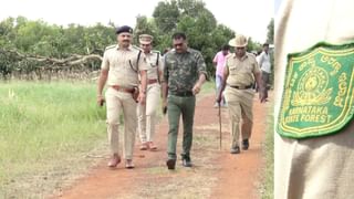 ಬೆಂಗಳೂರು ಮೈಸೂರು ಎಕ್ಸ್​​ಪ್ರೆಸ್​​ವೇಯಲ್ಲಿ ಮುಗಿಯದ ಗೋಳು; ತಂತಿ ಬೇಲಿ ಕಳವಾದಲ್ಲಿ ರಸ್ತೆಗೆ ನುಸುಳುತ್ತಿರುವ ಬೈಕ್ ಸವಾರರು
