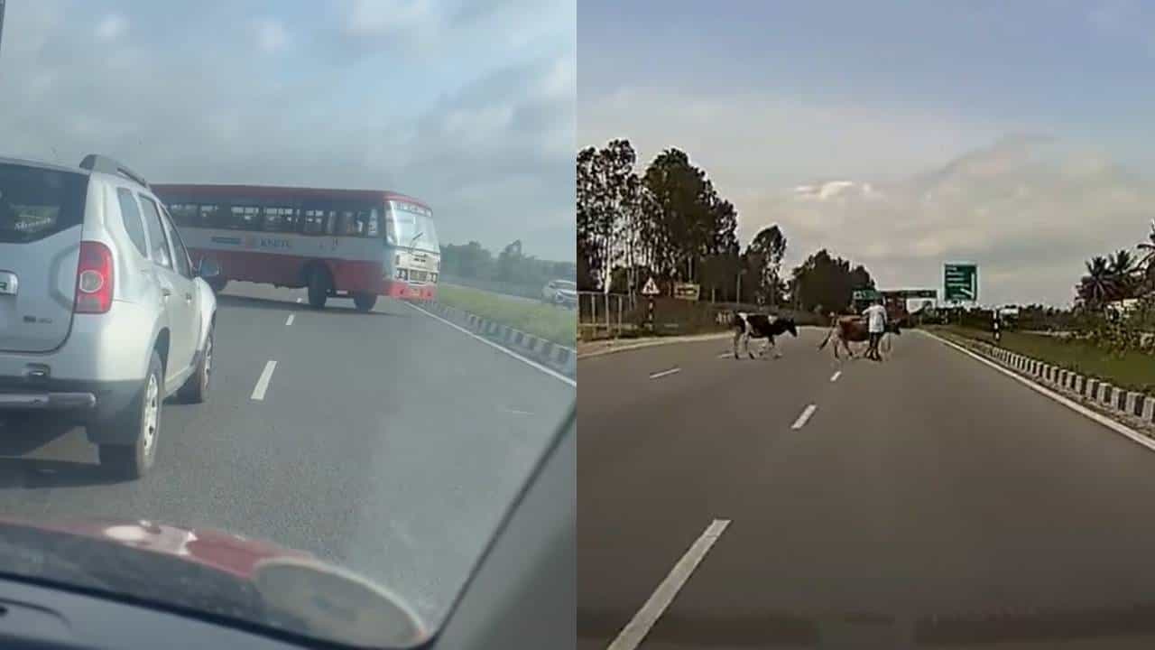 ಬೆಂಗಳೂರು-ಮೈಸೂರು ಎಕ್ಸ್‌ಪ್ರೆಸ್‌ವೇನಲ್ಲಿ ನಿಯಮ ಉಲ್ಲಂಘಿಸಿ ಸಂಚಾರ; ನೆಟ್ಟಿಗರು ಗರಂ