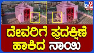 ವಿಜಯಪುರ: ಪತಿ ಜೊತೆ ಬೈಕ್ ಹಿಂಬದಿಯಲ್ಲಿ ಕುಳಿತುಕೊಂಡು ಹೋಗುತ್ತಿದ್ದ ಮಹಿಳೆ ಏಕಾಏಕಿ ಕೆಳಗೆ ಬಿದ್ದು ಸಾವು