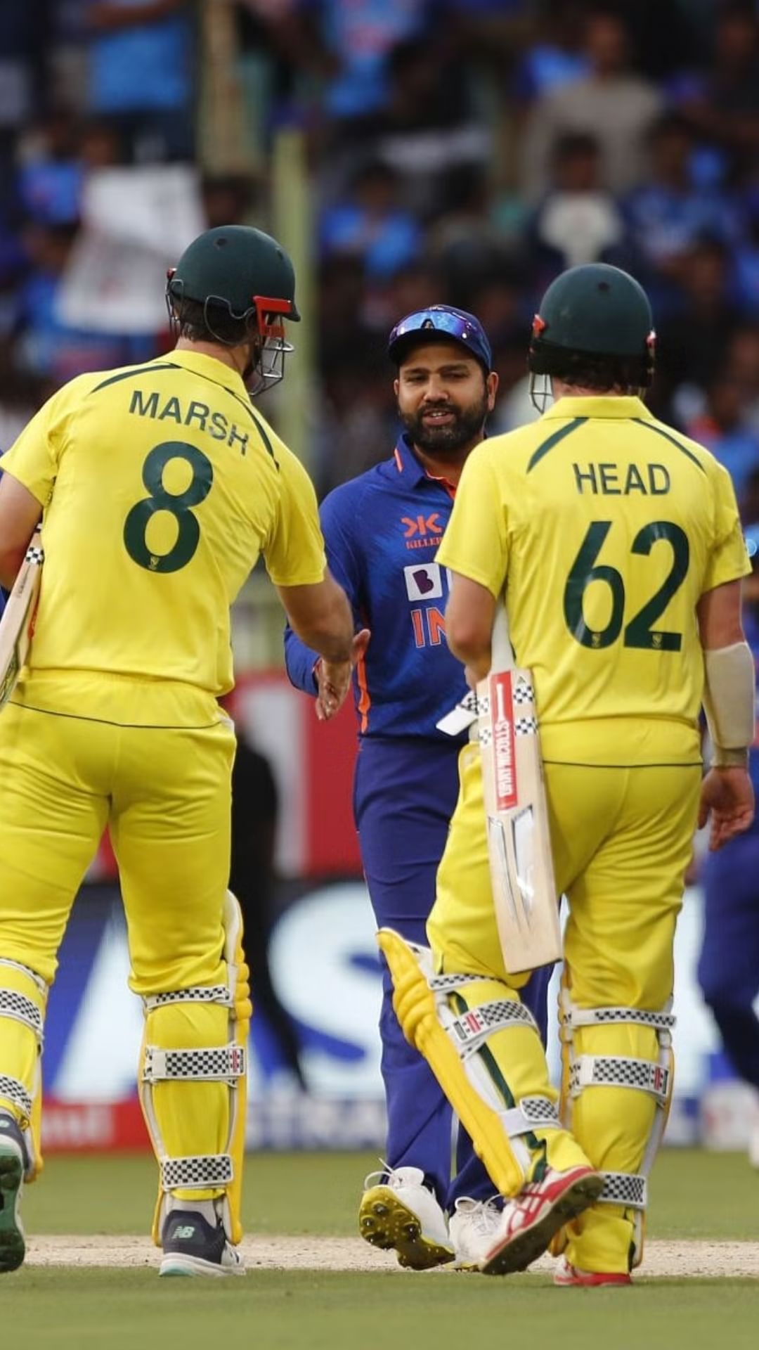 ind vs aus