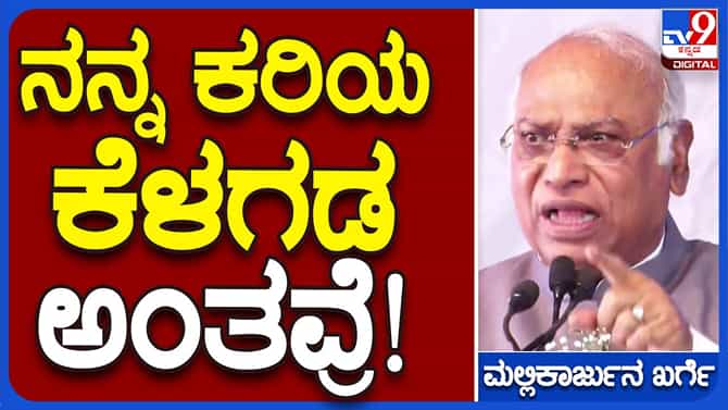 ಬಿಜೆಪಿ ನಾಯಕರಿಗೆ ಬಯ್ಯುವುದೊಂದನ್ನು ಬಿಟ್ಟು ಬೇರೇನೂ ಗೊತ್ತಿಲ್ಲ; ಮಲ್ಲಿಕಾರ್ಜುನ ಖರ್ಗೆ, ಎಐಸಿಸಿ ಅಧ್ಯಕ್ಷ