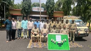 ಬೆಂಗಳೂರು-ಮೈಸೂರು ಎಕ್ಸ್‌ಪ್ರೆಸ್‌ವೇಯಲ್ಲಿ ಅಪಘಾತ ತಡೆಗೆ ಮತ್ತೊಂದು ಕ್ರಮ; 24 ಕಡೆಗಳಲ್ಲಿ ನಿರ್ಮಾಣವಾಗಲಿದೆ ಸ್ಕೈವಾಕ್‌