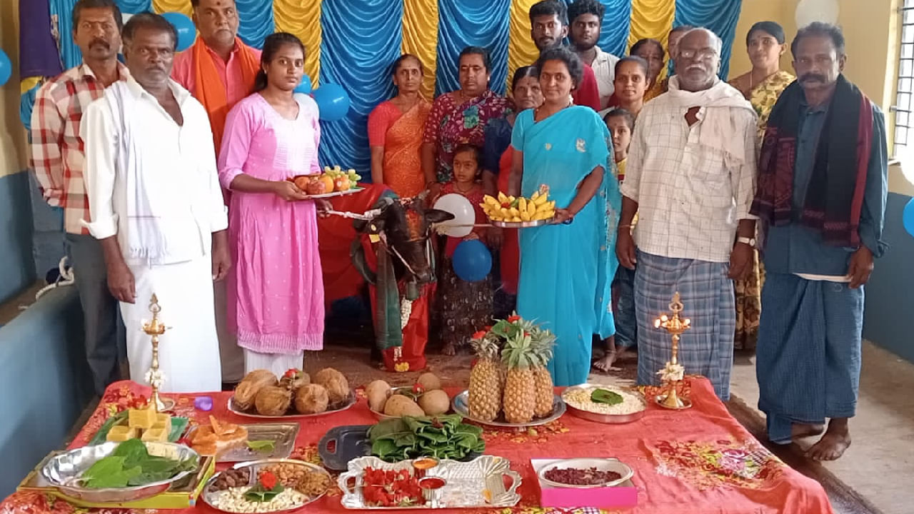 ಮಾನವರಂತೆ ವಿಶಿಷ್ಟ ರೀತಿಯಲ್ಲಿ ಮಲೆನಾಡು ಗಿಡ್ಡ ಹಸುವಿಗೆ ಸೀಮಂತ ಮಾಡಿ, ಮುದ್ದುಗೆರೆದ ಮುದ್ದಗೆರೆ ಗ್ರಾಮಸ್ಥರು!