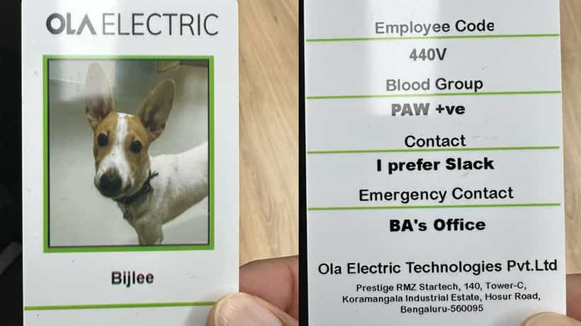 Ola Dog: ಬೆಂಗಳೂರಿನ ಒಲಾ ಕಂಪನಿಗೆ ನಾಯಿ ಹೊಸ ಉದ್ಯೋಗಿ; ಐಡಿ ಹಂಚಿಕೊಂಡ ಸಿಇಒ