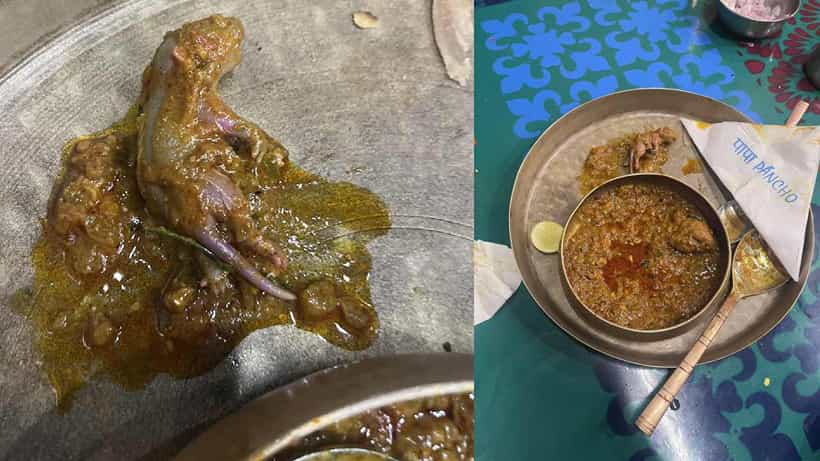 ಬಾಂದ್ರಾದ ಪ್ರಸಿದ್ಧ ರೆಸ್ಟೋರೆಂಟ್ನ ಖಾದ್ಯದಲ್ಲಿ ಸತ್ತ ಇಲಿ ಪತ್ತೆ, ಮ್ಯಾನೇಜರ್ ಸಹಿತ ಇಬ್ಬರ ಬಂಧನ