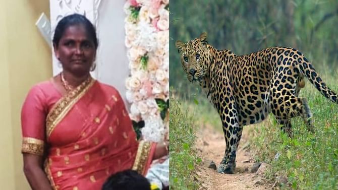 ಶಿವಮೊಗ್ಗ: ಚಿರತೆ ದಾಳಿಗೆ ಮಹಿಳೆ ಬಲಿ; ಅರಣ್ಯಾಧಿಕಾರಿಗಳ ವಿರುದ್ದ ಕುಟುಂಬಸ್ಥರ ಆಕ್ರೋಶ ಶಿವಮೊಗ್ಗ: ಚಿರತೆ ದಾಳಿಗೆ ಮಹಿಳೆ ಬಲಿ; ಅರಣ್ಯಾಧಿಕಾರಿಗಳ ವಿರುದ್ದ ಕುಟುಂಬಸ್ಥರ ಆಕ್ರೋಶ