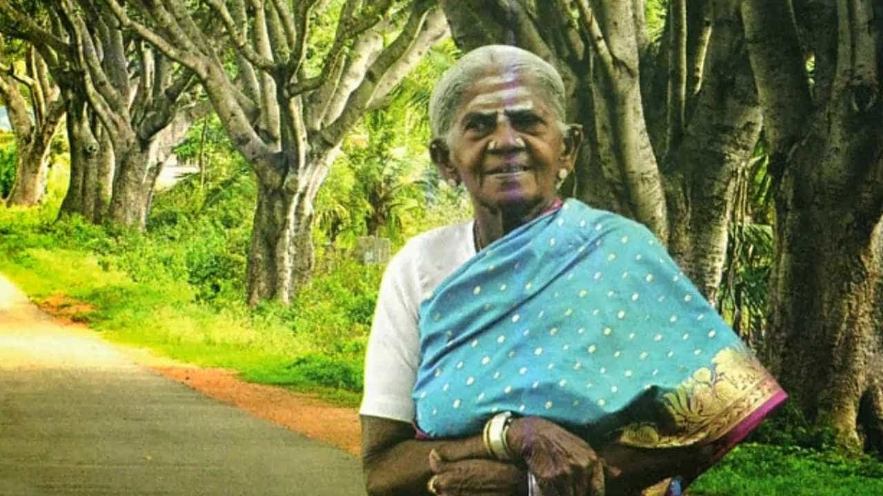 Saalumarada Thimmakka: ಕಾಲು ಜಾರಿ ಬಿದ್ದ ಸಾಲುಮರದ ತಿಮ್ಮಕ್ಕ: ಆಸ್ಪತ್ರೆಗೆ ದಾಖಲು Saalumarada Thimmakka: ಕಾಲು ಜಾರಿ ಬಿದ್ದ ಸಾಲುಮರದ ತಿಮ್ಮಕ್ಕ: ಆಸ್ಪತ್ರೆಗೆ ದಾಖಲು