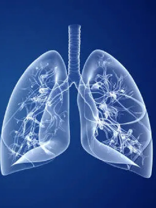 अस्थमा (Asthma) और लंग कैंसर (Lung Cancer) के रोगियों के लिए फायदेमंद हैं  ये 5 योगासन | OnlyMyHealth