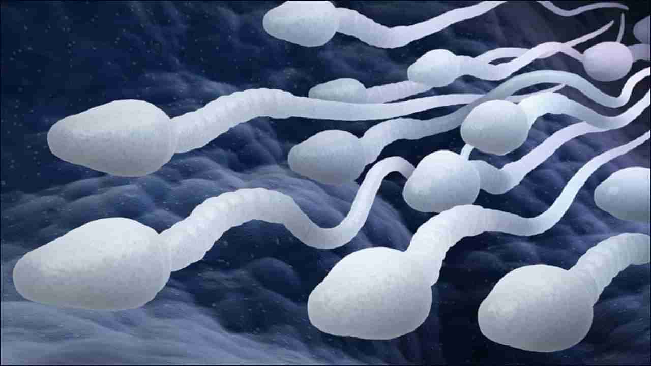 Male Fertility: ಈ ಆಹಾರಗಳು ಪುರುಷರ ವೀರ್ಯಾಣುವಿನ ಸಂಖ್ಯೆ  ಕಡಿಮೆಗೊಳಿಸುತ್ತವೆ!