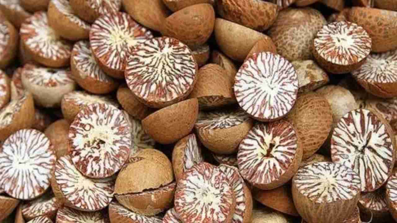 Arecanut Price 16 Sep: ಪ್ರಮುಖ ಮಾರುಕಟ್ಟೆಯಲ್ಲಿ ಇಂದಿನ ಅಡಿಕೆ ಮತ್ತು ಕೋಕೋ ದರ ಹೀಗಿದೆ