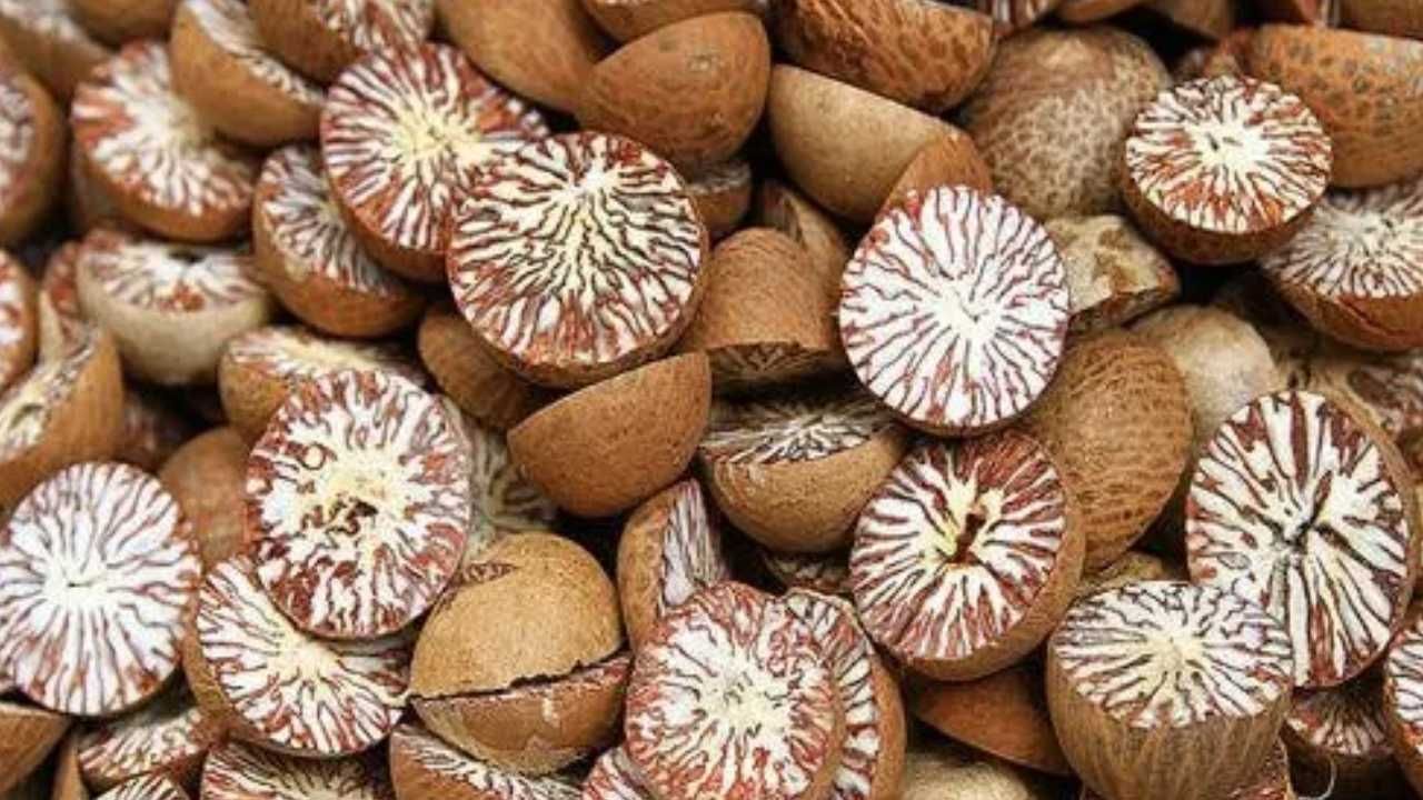 Arecanut Price 16 Sep: ಪ್ರಮುಖ ಮಾರುಕಟ್ಟೆಯಲ್ಲಿ ಇಂದಿನ ಅಡಿಕೆ ಮತ್ತು ಕೋಕೋ ದರ ಹೀಗಿದೆ Arecanut Price 16 Sep: ಪ್ರಮುಖ ಮಾರುಕಟ್ಟೆಯಲ್ಲಿ ಇಂದಿನ ಅಡಿಕೆ ಮತ್ತು ಕೋಕೋ ದರ ಹೀಗಿದೆ