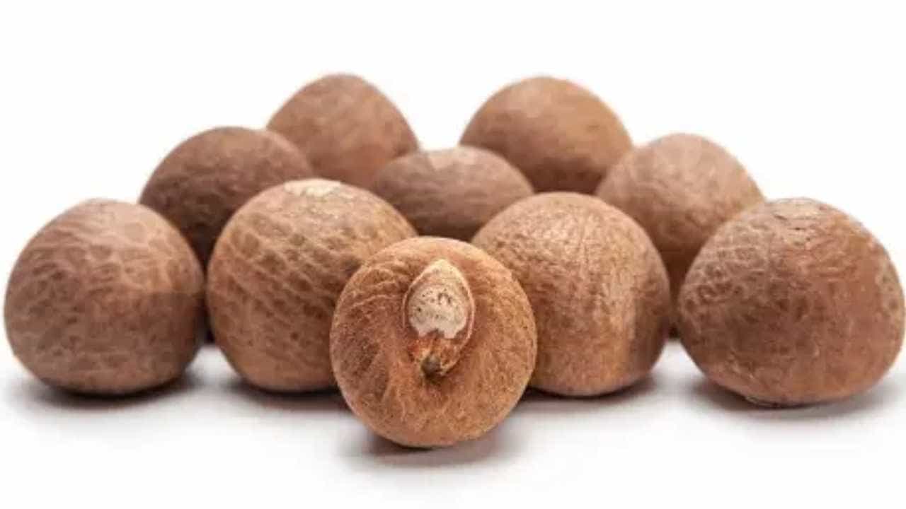 Arecanut Price 20 Sep: ಪ್ರಮುಖ ಮಾರುಕಟ್ಟೆಯಲ್ಲಿ ಇಂದಿನ ಅಡಿಕೆ ಮತ್ತು ಕೋಕೋ ದರ ಹೀಗಿದೆ