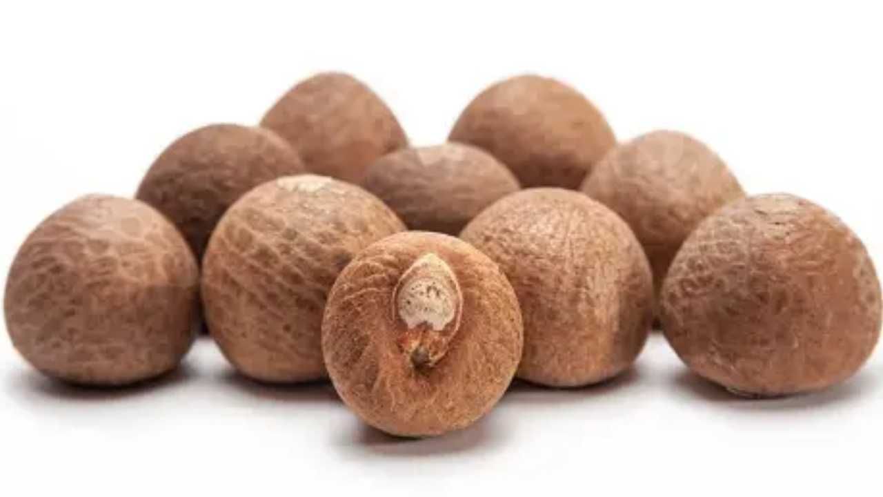 Arecanut Price 18 Oct: ಇಂದಿನ ಅಡಿಕೆ ಧಾರಣೆ ಮತ್ತು ಕೋಕೋ ದರ ಹೀಗಿದೆ