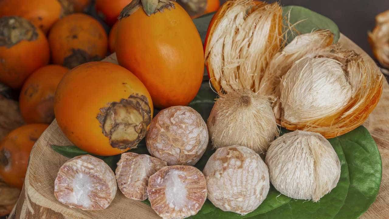 Arecanut Price 4 Sep: ಇಂದಿನ ಅಡಿಕೆ ಧಾರಣೆ, ಕೋಕೋ ರೇಟ್ ಹೀಗಿದೆ Arecanut Price 4 Sep: ಇಂದಿನ ಅಡಿಕೆ ಧಾರಣೆ, ಕೋಕೋ ರೇಟ್ ಹೀಗಿದೆ