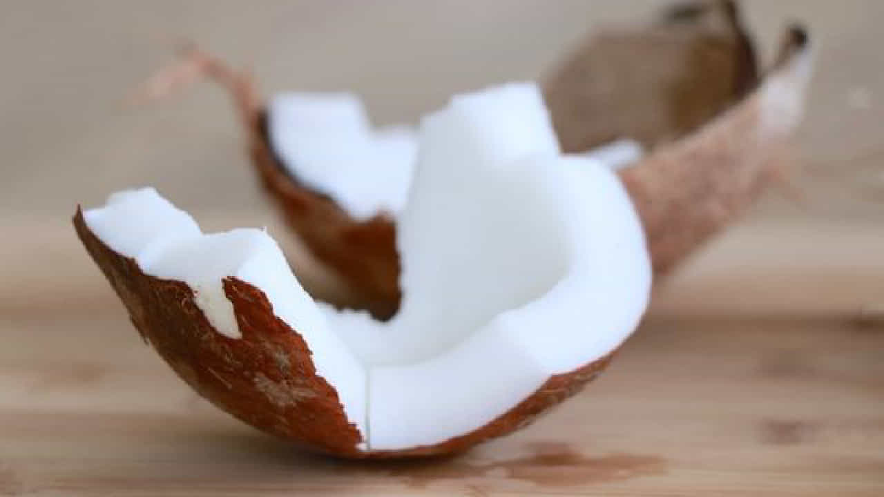 World Coconut Day 2023: ಹಸಿ ತೆಂಗಿನಕಾಯಿ ಸೇವನೆಯಿಂದ ಲಭಿಸುವ ಆರೋಗ್ಯ ಪ್ರಯೋಜನಗಳ ಬಗ್ಗೆ ತಿಳಿದಿದೆಯೇ? World Coconut Day 2023: ಹಸಿ ತೆಂಗಿನಕಾಯಿ ಸೇವನೆಯಿಂದ ಲಭಿಸುವ ಆರೋಗ್ಯ ಪ್ರಯೋಜನಗಳ ಬಗ್ಗೆ ತಿಳಿದಿದೆಯೇ?
