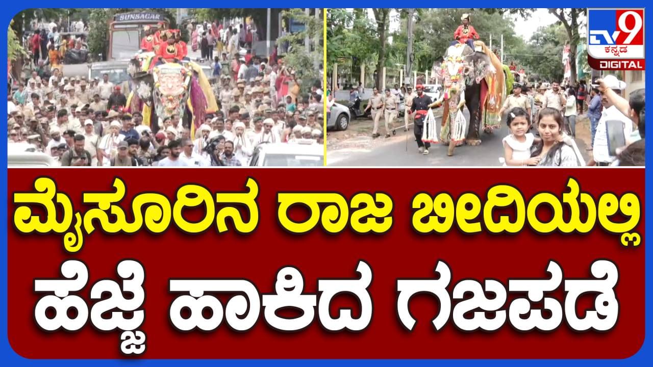 ಮೈಸೂರು ದಸರಾ 2023: ಅರಮನೆ ಆವರಣಕ್ಕೆ ಆಗಮಿಸಿದ ಆನೆಗಳಿಗೆ ಅರ್ಚಕರಿಂದ ಪೂಜೆ