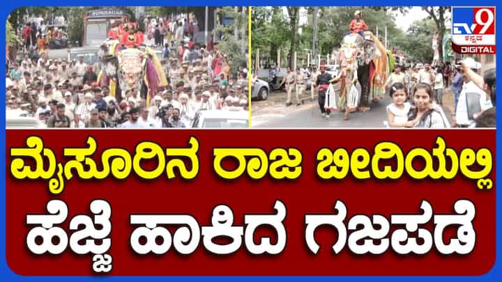 ಮೈಸೂರು ದಸರಾ 2023: ಅರಮನೆ ಆವರಣಕ್ಕೆ ಆಗಮಿಸಿದ ಆನೆಗಳಿಗೆ ಅರ್ಚಕರಿಂದ ಪೂಜೆ ಮೈಸೂರು ದಸರಾ 2023: ಅರಮನೆ ಆವರಣಕ್ಕೆ ಆಗಮಿಸಿದ ಆನೆಗಳಿಗೆ ಅರ್ಚಕರಿಂದ ಪೂಜೆ