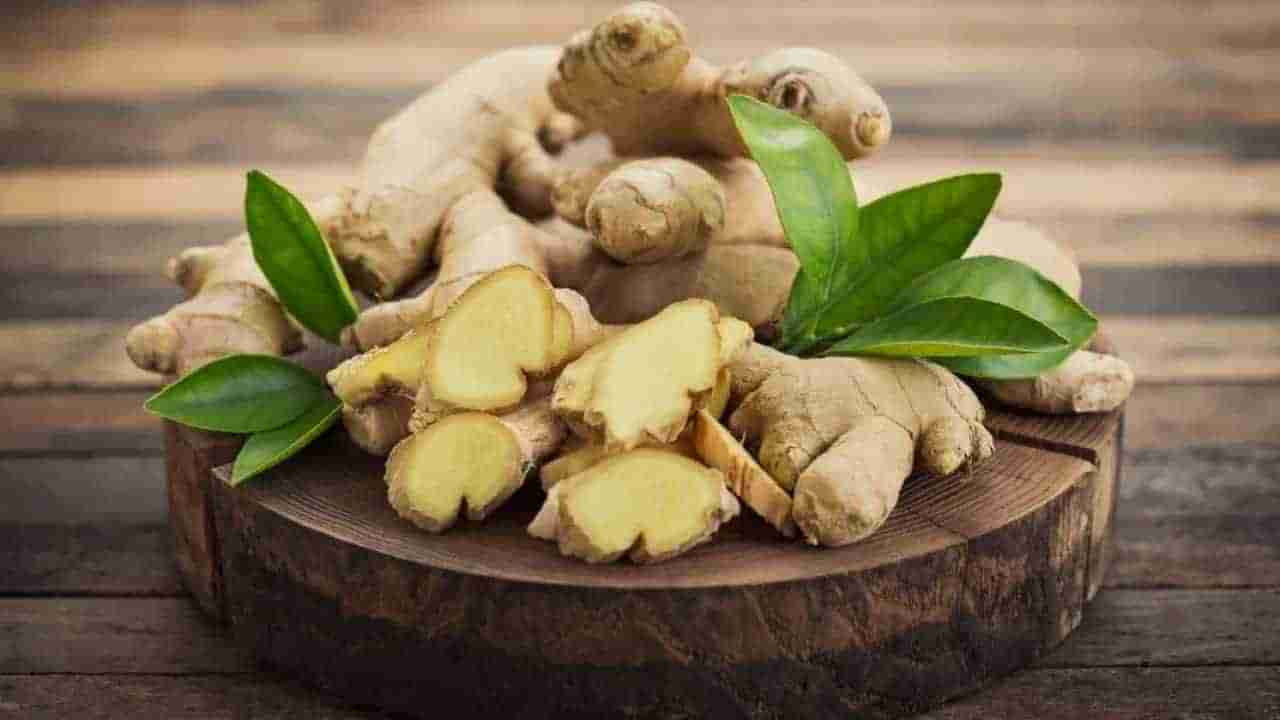 Ginger Benefits: ಅಬ್ಬಬ್ಬಾ! ಶುಂಠಿ ಸೇವನೆಯಿಂದ ಇಷ್ಟೆಲ್ಲಾ ಪ್ರಯೋಜನವೇ?