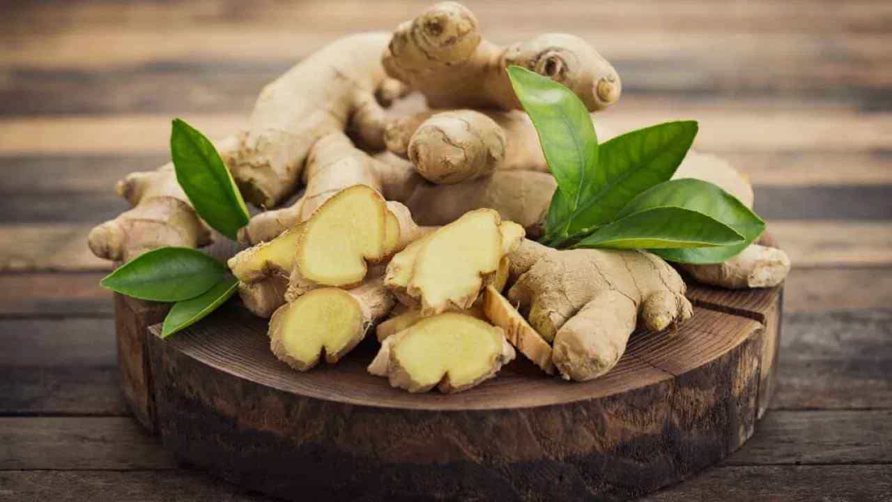 Ginger Benefits: ಅಬ್ಬಬ್ಬಾ! ಶುಂಠಿ ಸೇವನೆಯಿಂದ ಇಷ್ಟೆಲ್ಲಾ ಪ್ರಯೋಜನವೇ? Ginger Benefits: ಅಬ್ಬಬ್ಬಾ! ಶುಂಠಿ ಸೇವನೆಯಿಂದ ಇಷ್ಟೆಲ್ಲಾ ಪ್ರಯೋಜನವೇ?