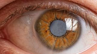 ಕೂದಲು ತುಂಡಾಗದಂತೆ ತಡೆಯಲು ಸರಳ ಮಾರ್ಗಗಳು ಇಲ್ಲಿವೆ