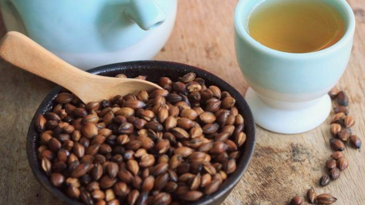 Barley Tea Benefits: ಸಾದ ಚಹಾದ ಬದಲಿಗೆ ಬಾರ್ಲಿ ಚಹಾ ಕುಡಿಯಿರಿ, ಇದರಲ್ಲಿದೆ ಆರೋಗ್ಯ ಪ್ರಯೋಜನ Barley Tea Benefits: ಸಾದ ಚಹಾದ ಬದಲಿಗೆ ಬಾರ್ಲಿ ಚಹಾ ಕುಡಿಯಿರಿ, ಇದರಲ್ಲಿದೆ ಆರೋಗ್ಯ ಪ್ರಯೋಜನ