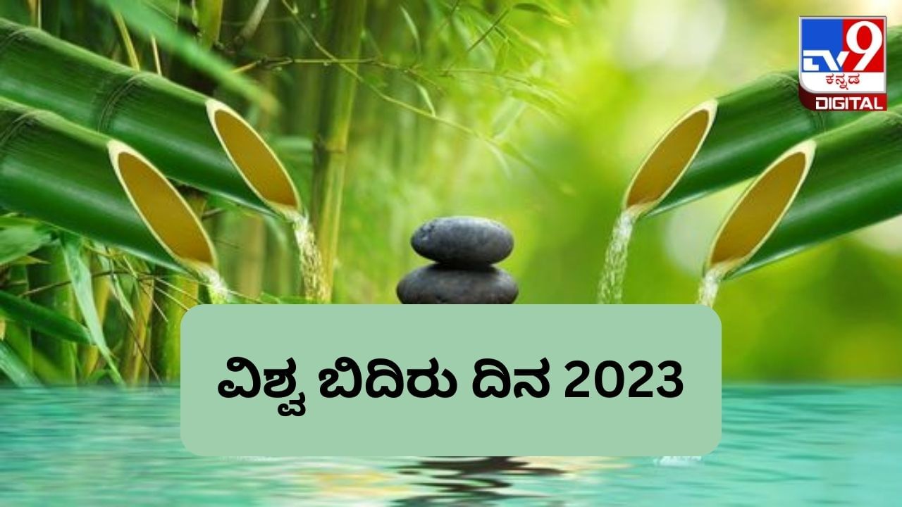 World Bamboo Day 2023: ವಿಶ್ವ ಬಿದಿರು ದಿನವನ್ನು ಏಕೆ ಆರಿಸಲಾಗುತ್ತದೆ? ಅದರ ಹಿನ್ನೆಲೆ ಇಲ್ಲಿದೆ 