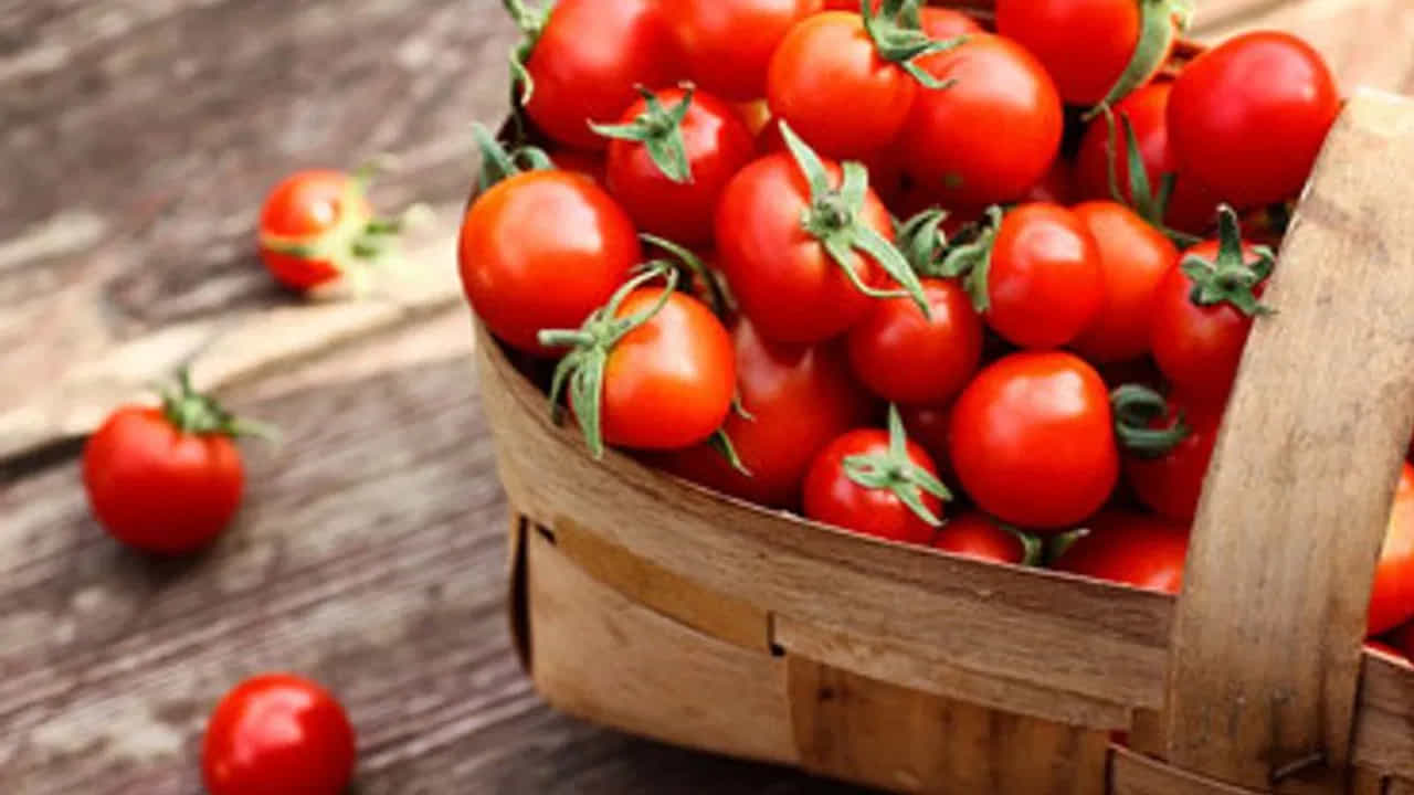 Tomato: ಮಧುಮೇಹಿಗಳು ಟೊಮೇಟೊ ತಿನ್ನಬಹುದೇ? ಗರ್ಭಿಣಿಯರೂ ಟೊಮೆಟೊಗಳನ್ನು ತಿನ್ನಬಹುದೇ? Tomato: ಮಧುಮೇಹಿಗಳು ಟೊಮೇಟೊ ತಿನ್ನಬಹುದೇ? ಗರ್ಭಿಣಿಯರೂ ಟೊಮೆಟೊಗಳನ್ನು ತಿನ್ನಬಹುದೇ?