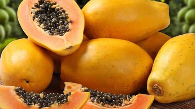 ಪಪ್ಪಾಯಿ ತಿಂದ ನಂತರ ಈ ಪದಾರ್ಥಗಳನ್ನು ಅಪ್ಪಿತಪ್ಪಿಯೂ ಸೇವಿಸಬೇಡಿ