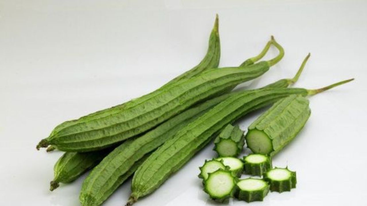 Ridge Gourd Benefits : ಹೀರೆಕಾಯಿಯಲ್ಲಿ ಅಡಗಿದೆ ಆರೋಗ್ಯ ಪ್ರಯೋಜನ Ridge Gourd Benefits : ಹೀರೆಕಾಯಿಯಲ್ಲಿ ಅಡಗಿದೆ ಆರೋಗ್ಯ ಪ್ರಯೋಜನ