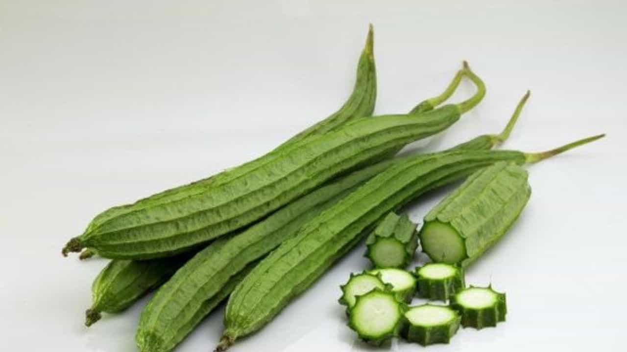 Ridge Gourd Benefits : ಹೀರೆಕಾಯಿಯಲ್ಲಿ ಅಡಗಿದೆ ಆರೋಗ್ಯ ಪ್ರಯೋಜನ Ridge Gourd Benefits : ಹೀರೆಕಾಯಿಯಲ್ಲಿ ಅಡಗಿದೆ ಆರೋಗ್ಯ ಪ್ರಯೋಜನ