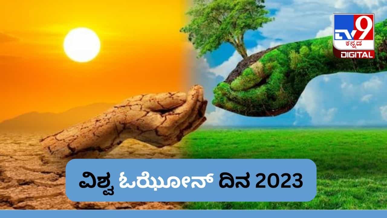 World Ozone Day 2023: ವಿಶ್ವ ಓಝೋನ್ ದಿನವನ್ನು ಆಚರಿಸುವ ಹಿಂದಿನ ಕಾರಣವೇನು? ಇಲ್ಲಿದೆ ಮಾಹಿತಿ World Ozone Day 2023: ವಿಶ್ವ ಓಝೋನ್ ದಿನವನ್ನು ಆಚರಿಸುವ ಹಿಂದಿನ ಕಾರಣವೇನು? ಇಲ್ಲಿದೆ ಮಾಹಿತಿ