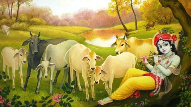 ಕೃಷ್ಣ ಜನ್ಮಾಷ್ಟಮಿಯ ದಿನ ಹಸುವಿಗೆ ಮೇವು ಹಾಕುವುದರಿಂದ ಸಿಗುತ್ತೇ ವಿಶೇಷ ಲಾಭ ಕೃಷ್ಣ ಜನ್ಮಾಷ್ಟಮಿಯ ದಿನ ಹಸುವಿಗೆ ಮೇವು ಹಾಕುವುದರಿಂದ ಸಿಗುತ್ತೇ ವಿಶೇಷ ಲಾಭ