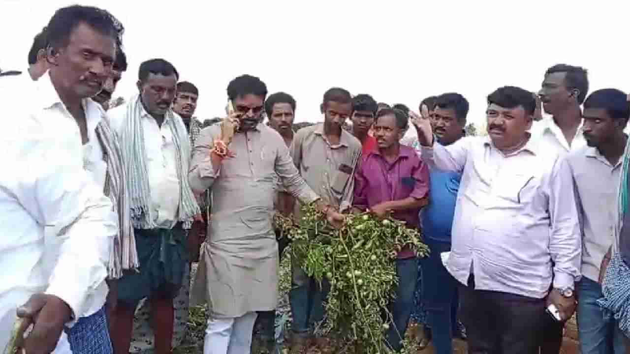 ಕೋಲಾರ: ಅರಣ್ಯ ಒತ್ತುವರಿ ತೆರವು ಕಾರ್ಯಾಚರಣೆಗೆ ಅಡ್ಡಿ, MP ಮುನಿಸ್ವಾಮಿ ಸೇರಿ 20ಕ್ಕೂ ಹೆಚ್ಚು ಜನರ ವಿರುದ್ಧ ಪ್ರಕರಣ ದಾಖಲು