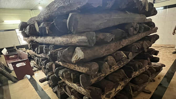 ಮಂಗಳೂರು ರಕ್ತಚಂದನ, ಆನ್‌ಲೈನ್‌ನಲ್ಲಿ 28 ಕೋಟಿ ರೂ.ಗೆ ಹರಾಜು!