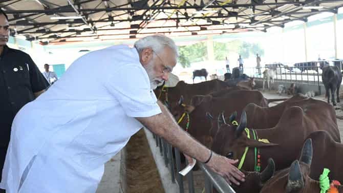 ದಿನಪೂರ್ತಿ ರಾಜಕೀಯದಲ್ಲೇ ಉಸಿರಾಡುವ ಜನನಾಯಕನ ಪ್ರಕೃತಿ ಹಾಗೂ ಪ್ರಾಣಿ ಪ್ರೇಮ