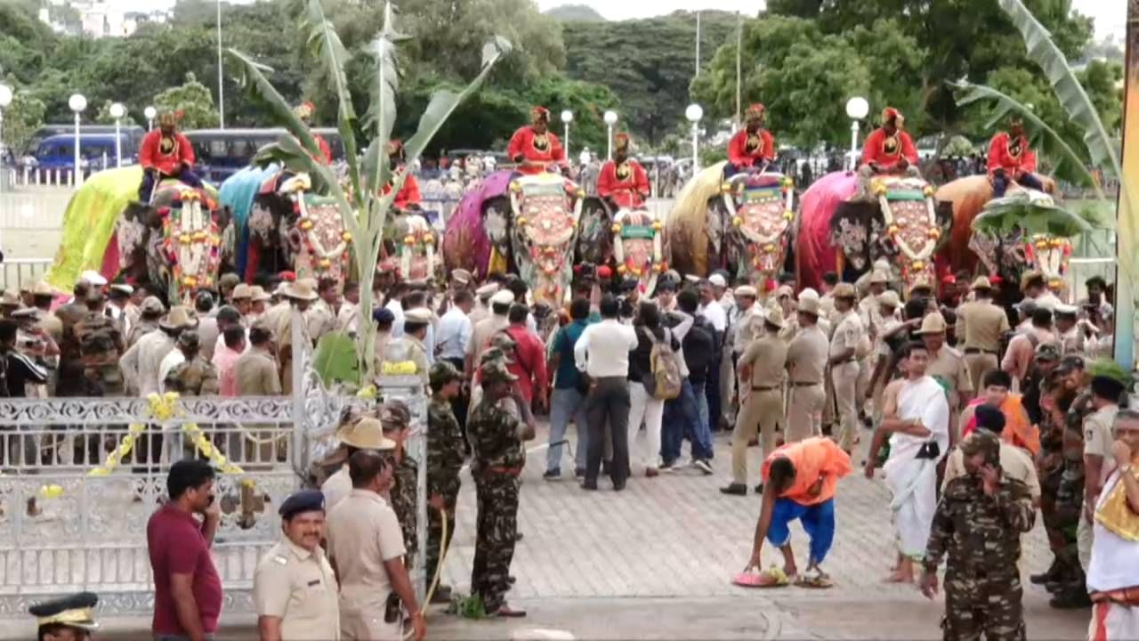 Mysore Dasara 2023: Today Dasara Elephant Came to Mysore Place 