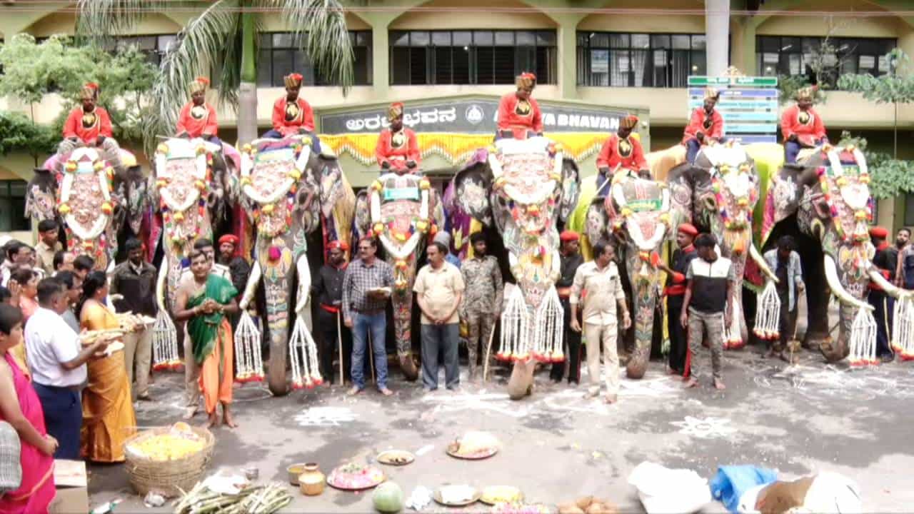 Mysore Dasara 2023: ದಸರಾ ಆನೆ, ಮಾವುತರಿಗೆ 2.02 ಕೋಟಿ ಮೊತ್ತದ ವಿಮೆ, ತಲಾ ಎಷ್ಟೆಷ್ಟು? Mysore Dasara 2023: ದಸರಾ ಆನೆ, ಮಾವುತರಿಗೆ 2.02 ಕೋಟಿ ಮೊತ್ತದ ವಿಮೆ, ತಲಾ ಎಷ್ಟೆಷ್ಟು?