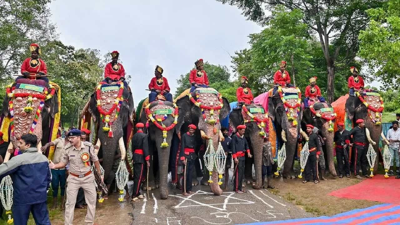 ಮೈಸೂರು ದಸರಾ ಮಹೋತ್ಸವ 2023: ನವರಾತ್ರಿ ಆಚರಣೆಯ ವೇಳಾಪಟ್ಟಿ ಬಿಡುಗಡೆ; ಇಲ್ಲಿದೆ ವಿವರ ಮೈಸೂರು ದಸರಾ ಮಹೋತ್ಸವ 2023: ನವರಾತ್ರಿ ಆಚರಣೆಯ ವೇಳಾಪಟ್ಟಿ ಬಿಡುಗಡೆ; ಇಲ್ಲಿದೆ ವಿವರ